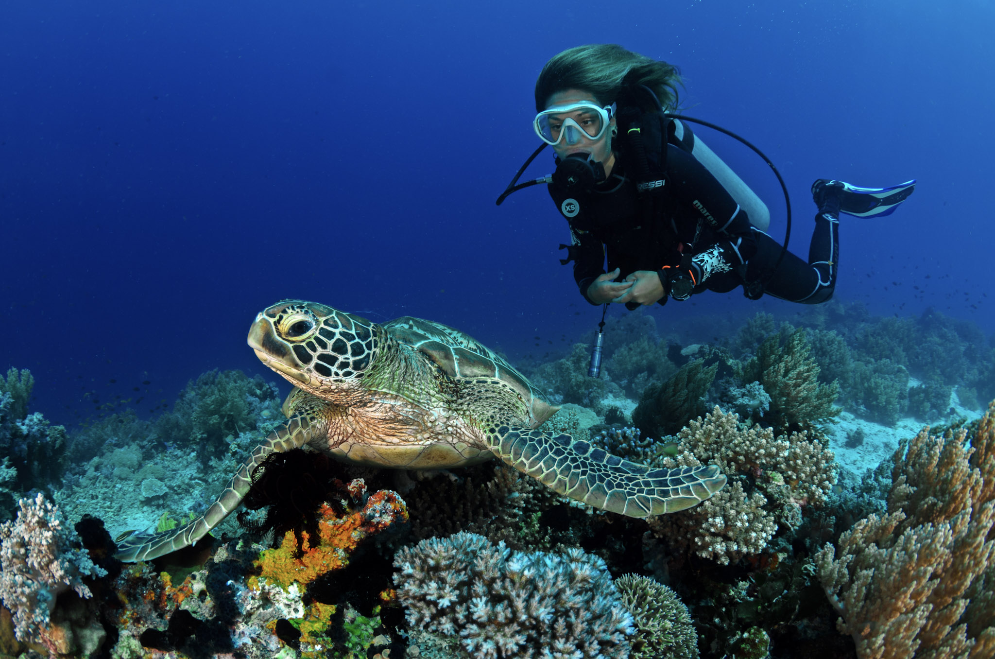 PADI Advanced Open Water Diver Course