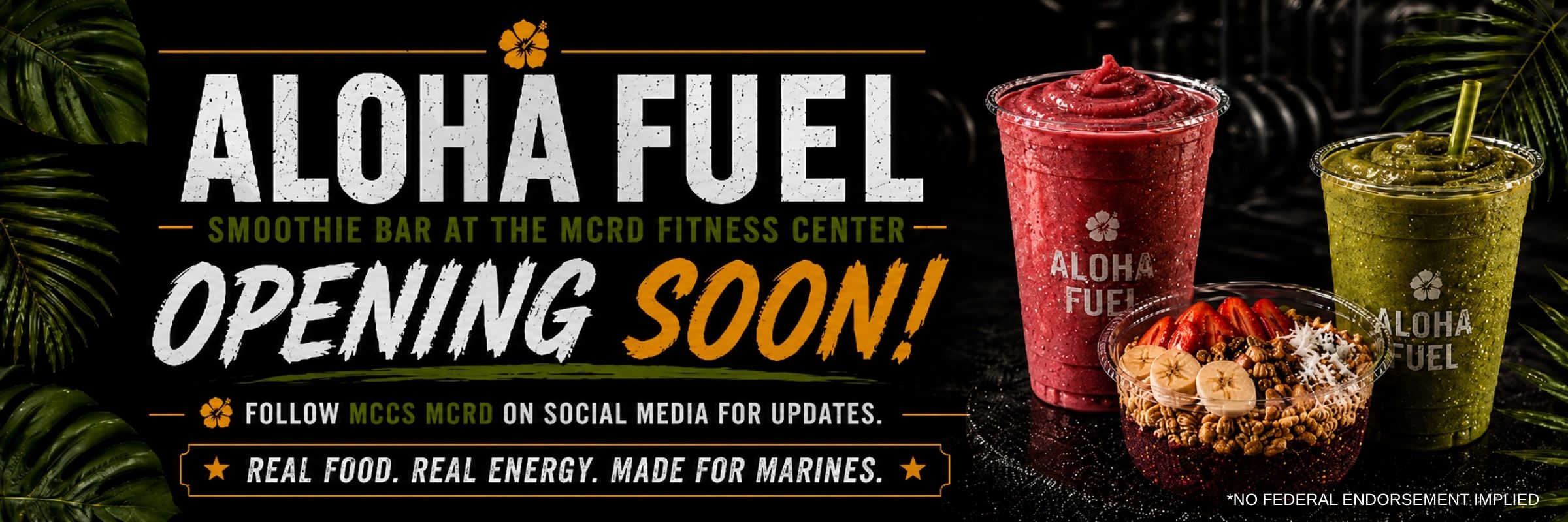 Aloha Fuel Collateral - Website Banner.jpg