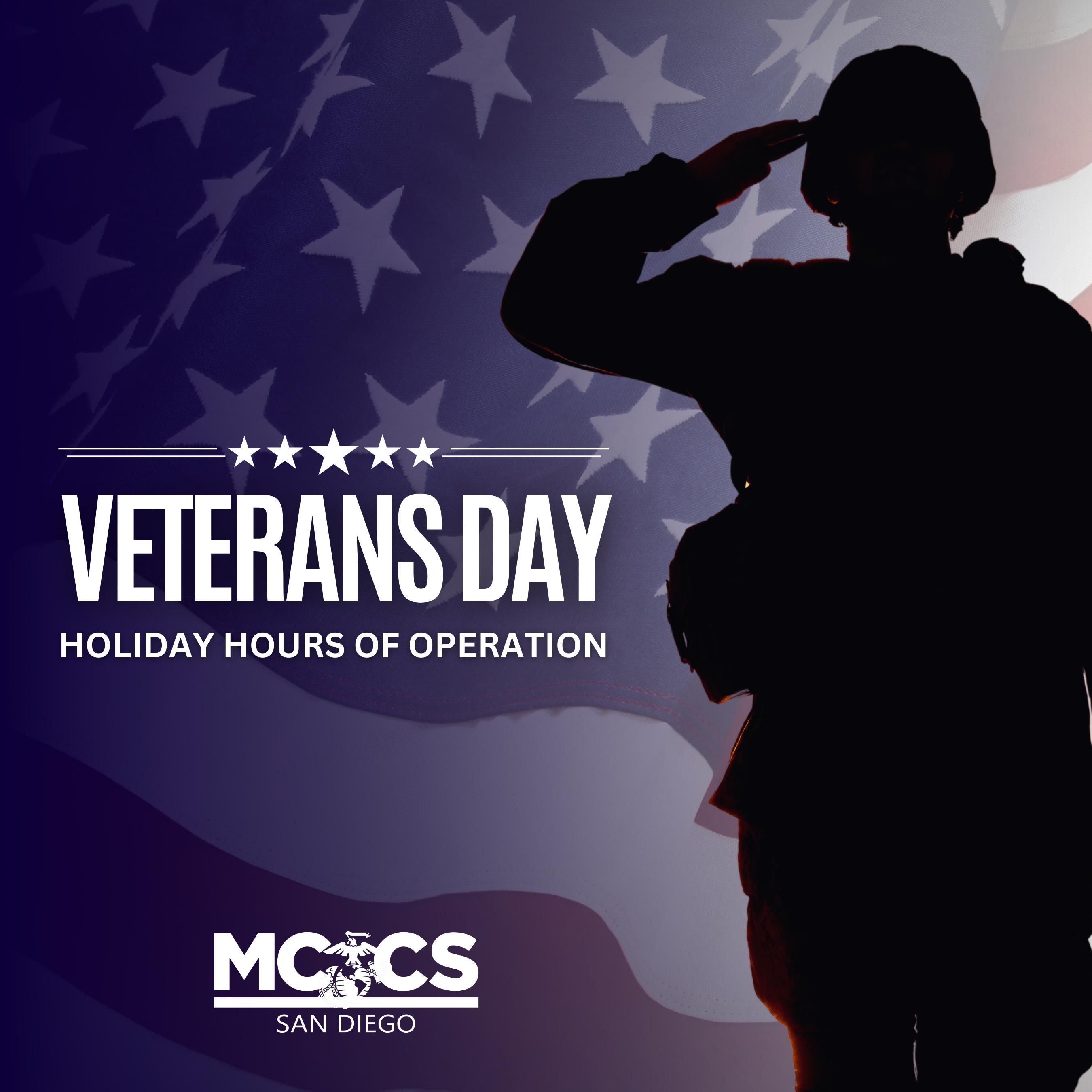 Veterans Day Holiday Hours - Social Media 1.jpg