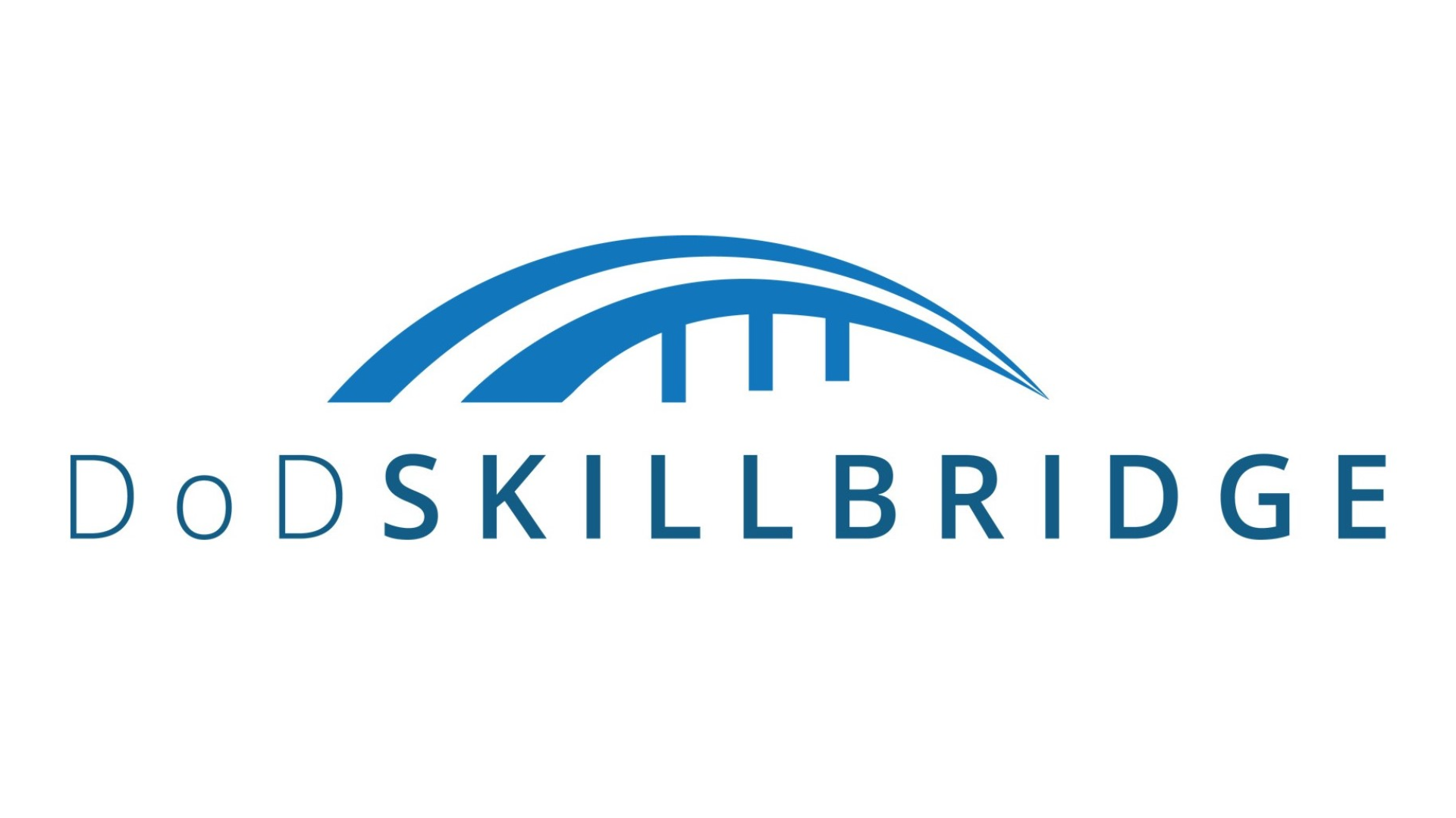 SkillBridge Brief (Virtual)