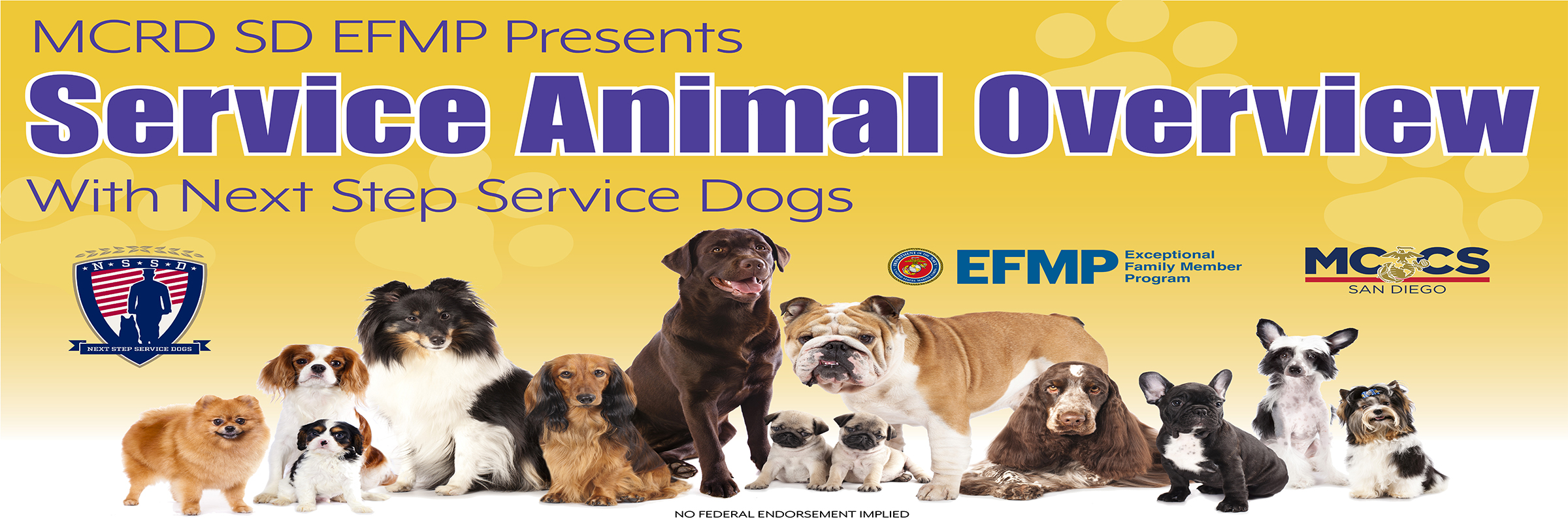 Service Animals Overview - 2400 x 800.jpg
